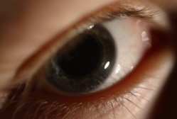 What your eyes say to people Click here.