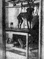Source: http://www.ivanpavlov.com/lectures/ivan_pavlov-lecture_002.htm